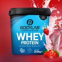 Whey Protein - 2000g - Erdbeer von Bodylab24