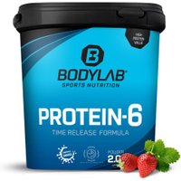 Protein-6 - 2000g - Erdbeer von Bodylab24