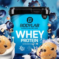 Whey Protein - 1000g - Blueberry Muffin Whey Protein - 1000g - Blueberry Muffin von Bodylab24