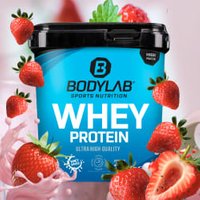 Whey Protein - 1000g - Erdbeer Whey Protein - 1000g - Erdbeer von Bodylab24