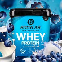 Whey Protein - 2000g - Blaubeere Whey Protein - 2000g - Blaubeere von Bodylab24