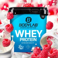 Whey Protein - 2000g - Himbeer-Joghurt Whey Protein - 2000g - Himbeer-Joghurt von Bodylab24