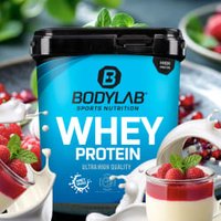 Whey Protein - 2000g - Pannacotta von Bodylab24