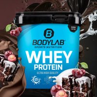 Whey Protein - 2000g - Schwarzwälder Kirsch Whey Protein - 2000g - Schwarzwälder Kirsch von Bodylab24