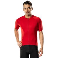 BONTRAGER Circuit Kurzarmtrikot, für Herren, Größe S, Fahrradtrikot, BONTRAGER Circuit Kurzarmtrikot, für Herren, Größe S, Fahrradtrikot, von Bontrager