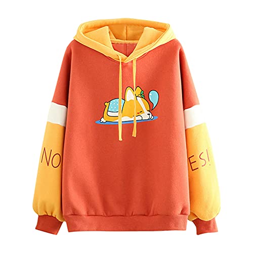 Briskorry Damen Hoodie Weiß, Kapuzenpullover Damen Lang, Hoodies Lange Ärmel Kappe Kapuzenpulli Baggy Casual Pullover Mode Bedruckte Kapuzenjacke Weich Outdoor Streetwear Herbst Winter von Briskorry