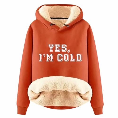 Briskorry Fleece Hoodie, Pullover Damen Winter, Hoodies Fleece Gefüttertes Kapuzenpullover Dickere Thermo Fleecepullover Teddy-Fleece Kapuze Winterpullover Modische Gedrucktes Sweatshirt Pulli Sherpa von Briskorry