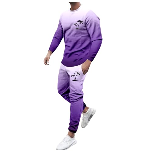 Briskorry Herren Elegant Zweiteiler Outfit Sommer Langzarm Top und Hosen Zweiteiler Hosenanzug Baggy Schlanke Jogginganzug Set Harajuku Streetwear Frühling Herbst Langhose Set von Briskorry