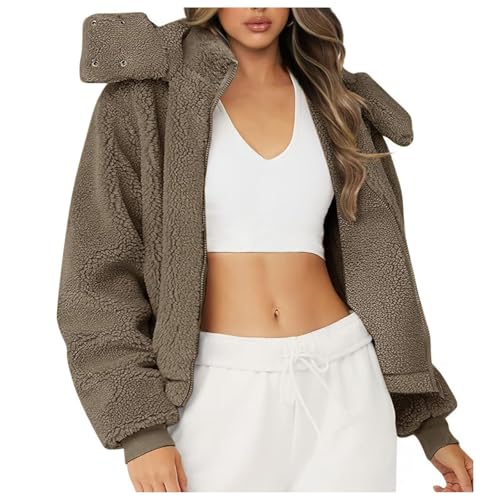 Briskorry Teddy Fleecejacke Damen, Damen-Winterjacken, Fleecemantel Kappe Warme Softjacket Teddy Reißverschluss Pelzjacke Comfy Flauschige Hoodie Lässig Große Größen Cardigan Klassischer Einfarbiger von Briskorry