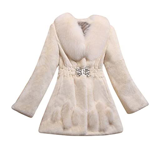 Briskorry Teddy Fleecejacke Damen, Winterjacke Damen Elegant, Plüschjacke Warm Wintermantel Langärmelig Teddy Pelzjacke Fluffy Bequemer Hood Casual Funktional Outwear Einfarbige Basic von Briskorry