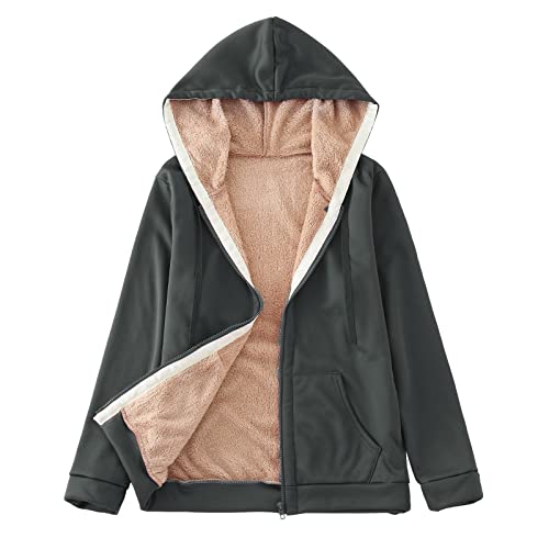 Briskorry Winterjacke Damen Warm, Winter Sweatjacke Sweatjacke Outdoor Winter Elegant Sweatjacke Steppjacke Große Größen Reißverschluss Fleecepullover Winter Übergangsjacke von Briskorry