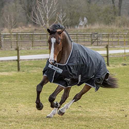 Bucas Anniversary Turnout Light SF 50g - Black/Silver Bucas Anniversary Turnout Light SF 50g - Black/Silver von Bucas