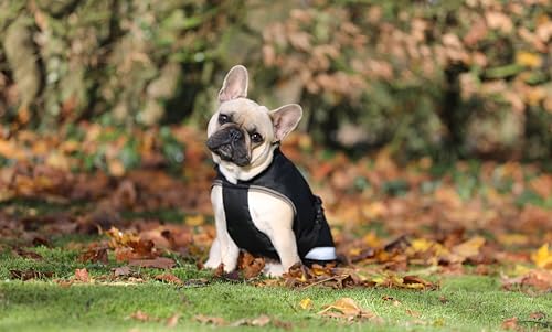 Bucas Freedom Dog Rug Hundemantel 150g Black/Taupe, Größe:40 cm Bucas Freedom Dog Rug Hundemantel 150g Black/Taupe, Größe:40 cm von Bucas