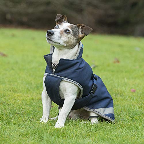Bucas Freedom Hundedecke 50, navy Bucas Freedom Hundedecke 50, navy von Bucas