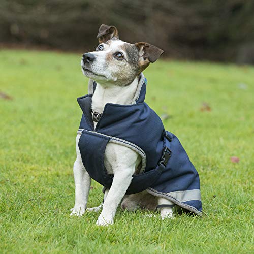 Bucas Freedom Hundedecke 50, navy von Bucas