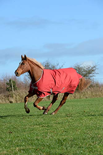 Bucas Freedom Turnout 300 Outdoor Decke braun, Kin18_19_Gr.:5'6/125 von Bucas