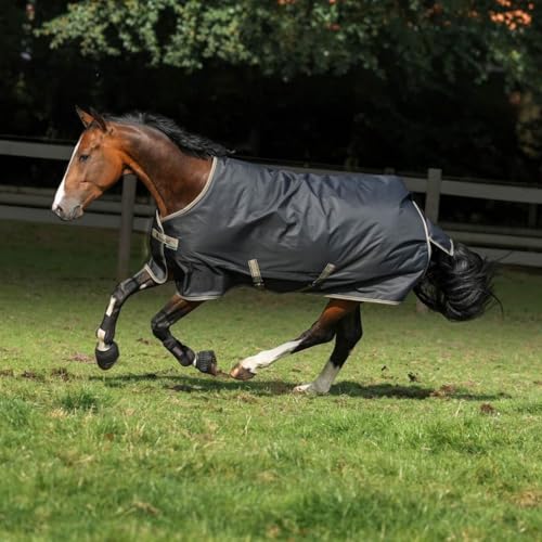 Bucas Freedom Turnout Light 0g Weidedecke/Regendecke Black/Taupe, Buc17_Gr.:155cm Bucas Freedom Turnout Light 0g Weidedecke/Regendecke Black/Taupe, Buc17_Gr.:155cm von Bucas