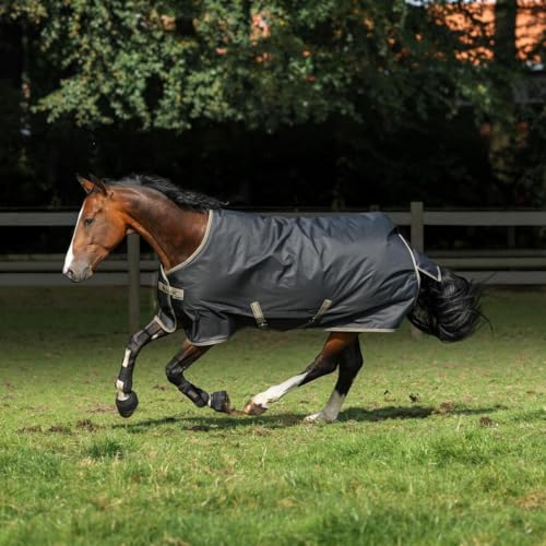Bucas Freedom Turnout Light 0g Weidedecke/Regendecke Black/Taupe, Buc17_Gr.:165cm Bucas Freedom Turnout Light 0g Weidedecke/Regendecke Black/Taupe, Buc17_Gr.:165cm von Bucas