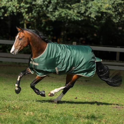 Bucas Freedom Turnout Light 0g Weidedecke/Regendecke Opal/Taupe, Buc17_Gr.:125cm Bucas Freedom Turnout Light 0g Weidedecke/Regendecke Opal/Taupe, Buc17_Gr.:125cm von Bucas