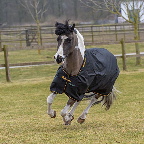 Bucas Irish Turnout Light/50g + Neck schwarz/Gold 145 Bucas Irish Turnout Light/50g + Neck schwarz/Gold 145 von Bucas
