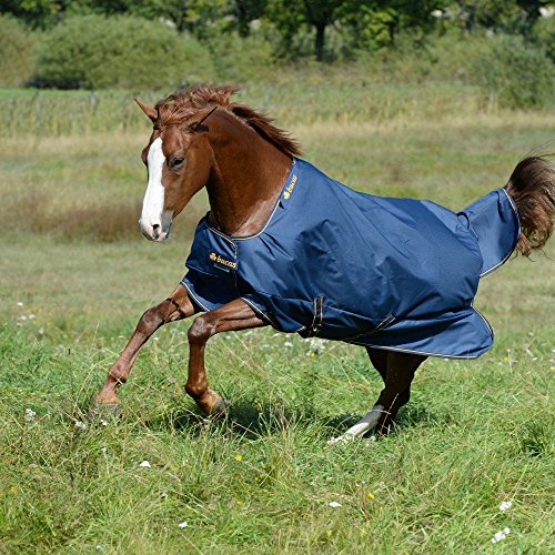 Bucas Irish Turnout Light 50g Classic - navy/gold, Groesse:130 Bucas Irish Turnout Light 50g Classic - navy/gold, Groesse:130 von Bucas