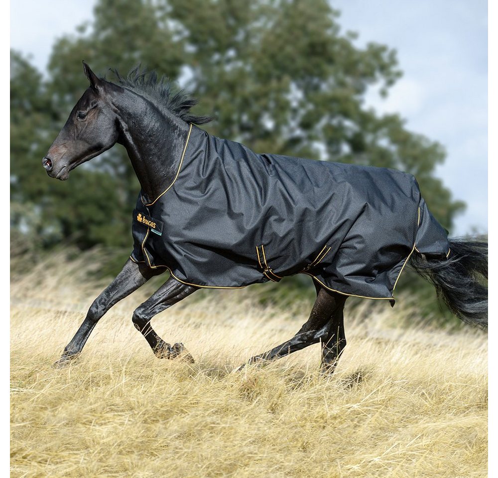 Bucas Pferde-Regendecke Bucas Irish Turnout Light 50g High Neck 1200D - black/gold von Bucas