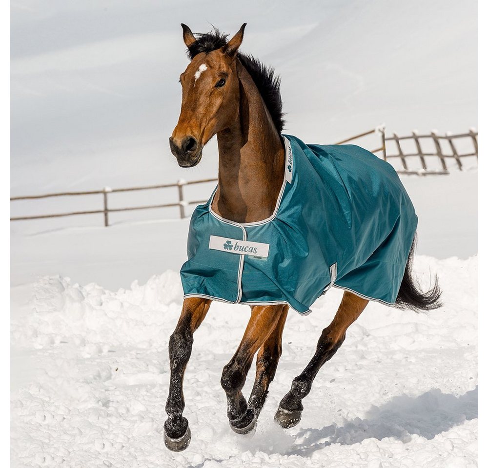 Bucas Pferde-Thermodecke Bucas Atlantic Turnout 400g - Green Bucas Pferde-Thermodecke Bucas Atlantic Turnout 400g - Green von Bucas