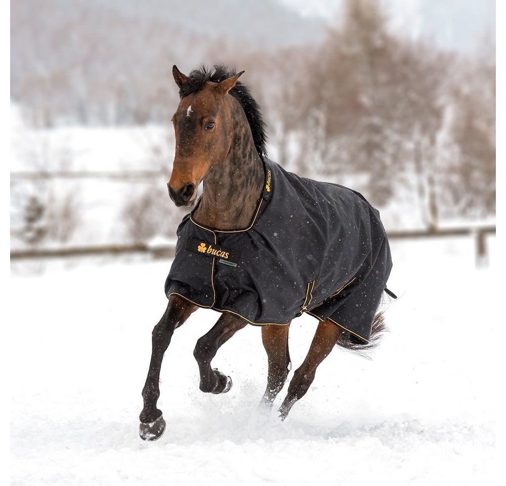 Bucas Pferde-Thermodecke Bucas Irish Turnout Extra 300g Pony 1200D - black/gold von Bucas