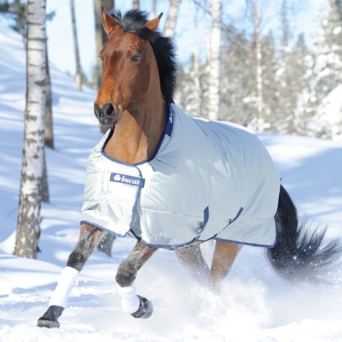 Bucas Power Turnout Light Big Neck 135 Silber Bucas Power Turnout Light Big Neck 135 Silber von Bucas