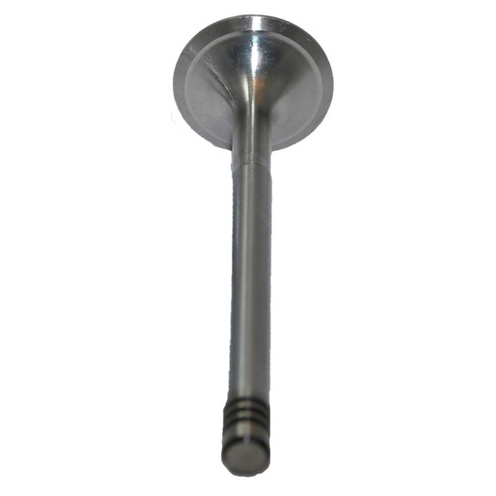 Bukh Dv24-48 Inlet Valve Silber Bukh Dv24-48 Inlet Valve Silber von Bukh
