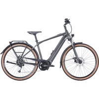 Bulls Cross Lite EVO 1 750 Wh Herren silber 2024 von Bulls