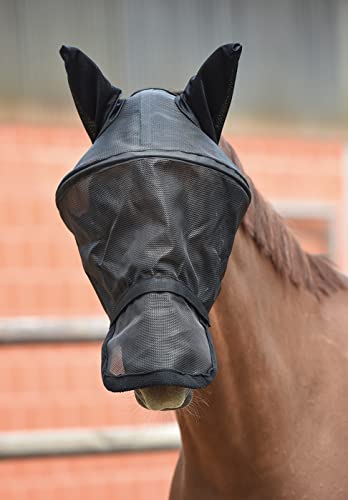 BUSSE Fliegenmaske Fly Professional, schwarz, Warmblut BUSSE Fliegenmaske Fly Professional, schwarz, Warmblut von Busse