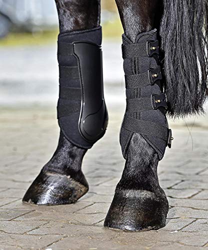 Busse everline Gamaschen Dressage-PRO Busse everline Gamaschen Dressage-PRO von Busse