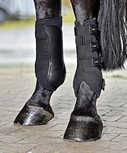 BUSSE Gamaschen DRESSAGE-PRO von Busse