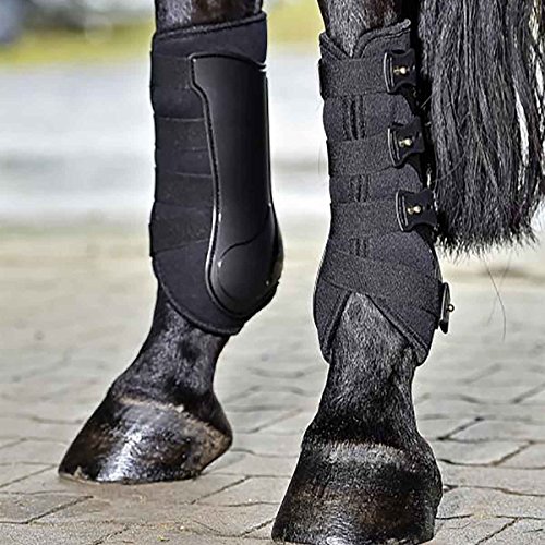 BUSSE Gamaschen DRESSAGE-PRO BUSSE Gamaschen DRESSAGE-PRO von Busse