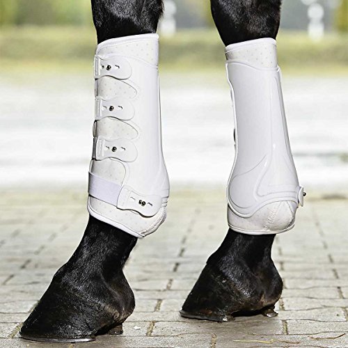 BUSSE Gamaschen DRESSAGE-PRO BUSSE Gamaschen DRESSAGE-PRO von Busse