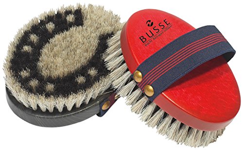BUSSE Kardätsche HUFEISEN BUSSE Kardätsche HUFEISEN von Busse