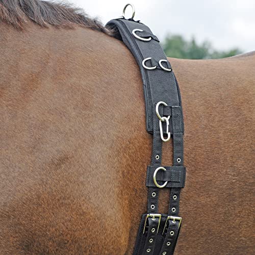 BUSSE Longiergurt PROFI-SOFT BUSSE Longiergurt PROFI-SOFT von Busse