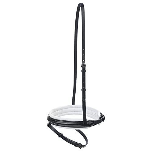 BUSSE Reithalfter COMFORT-ENGLISCH, Lack BUSSE Reithalfter COMFORT-ENGLISCH, Lack von Busse