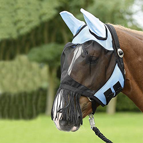 BUSSE everline Fliegenmaske FLY COVER FRANSEN Warmblut, hellblau/schwarz BUSSE everline Fliegenmaske FLY COVER FRANSEN Warmblut, hellblau/schwarz von Busse