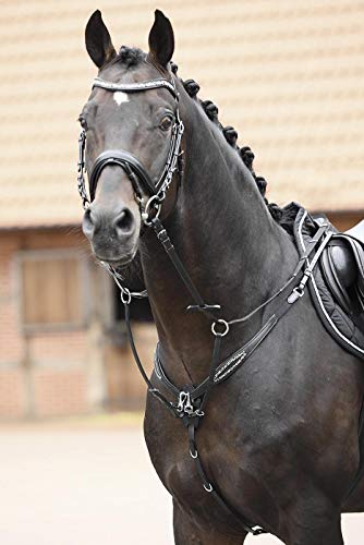 BUSSE solibel Vorderzeug GLORY, schwarz/Strass-braun, Vollblut/Warmblut BUSSE solibel Vorderzeug GLORY, schwarz/Strass-braun, Vollblut/Warmblut von Busse