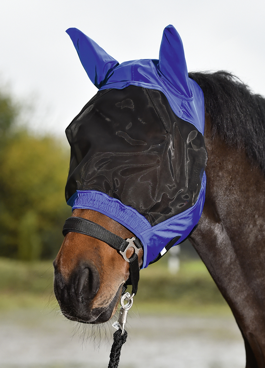 Busse Fliegenmaske FLY BUCKLER Busse Fliegenmaske FLY BUCKLER von Busse