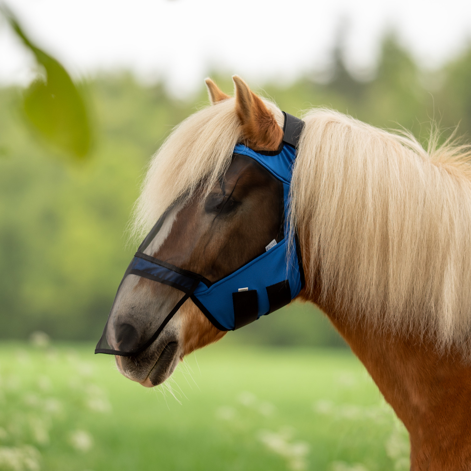Busse Fliegenmaske Fly Guard Free Plus Busse Fliegenmaske Fly Guard Free Plus von Busse