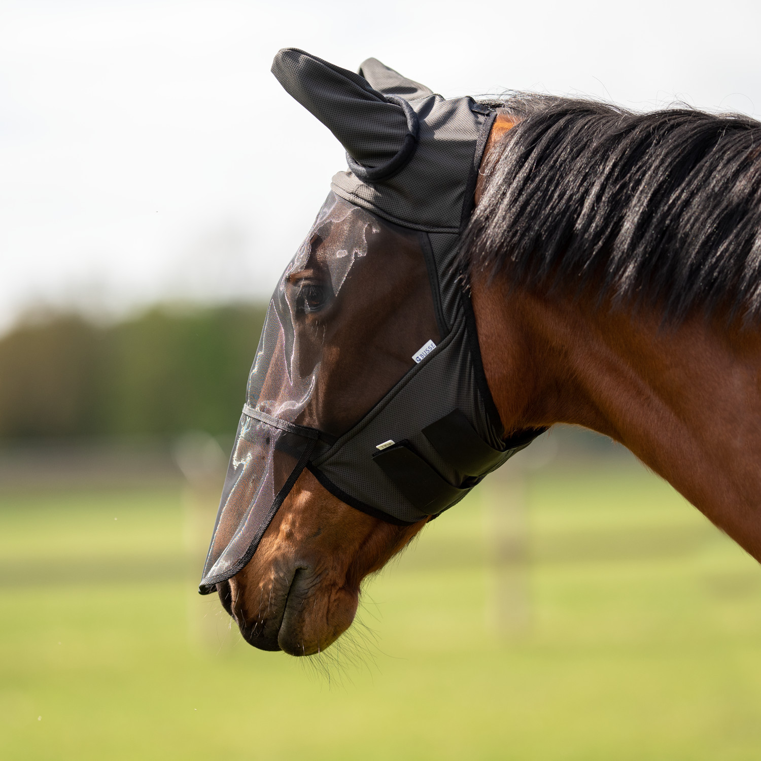 Busse Fliegenmaske Fly Guard II Plus Busse Fliegenmaske Fly Guard II Plus von Busse