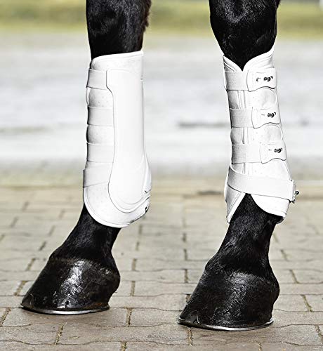 BUSSE Gamaschen DRESSAGE-PRO BUSSE Gamaschen DRESSAGE-PRO von Busse