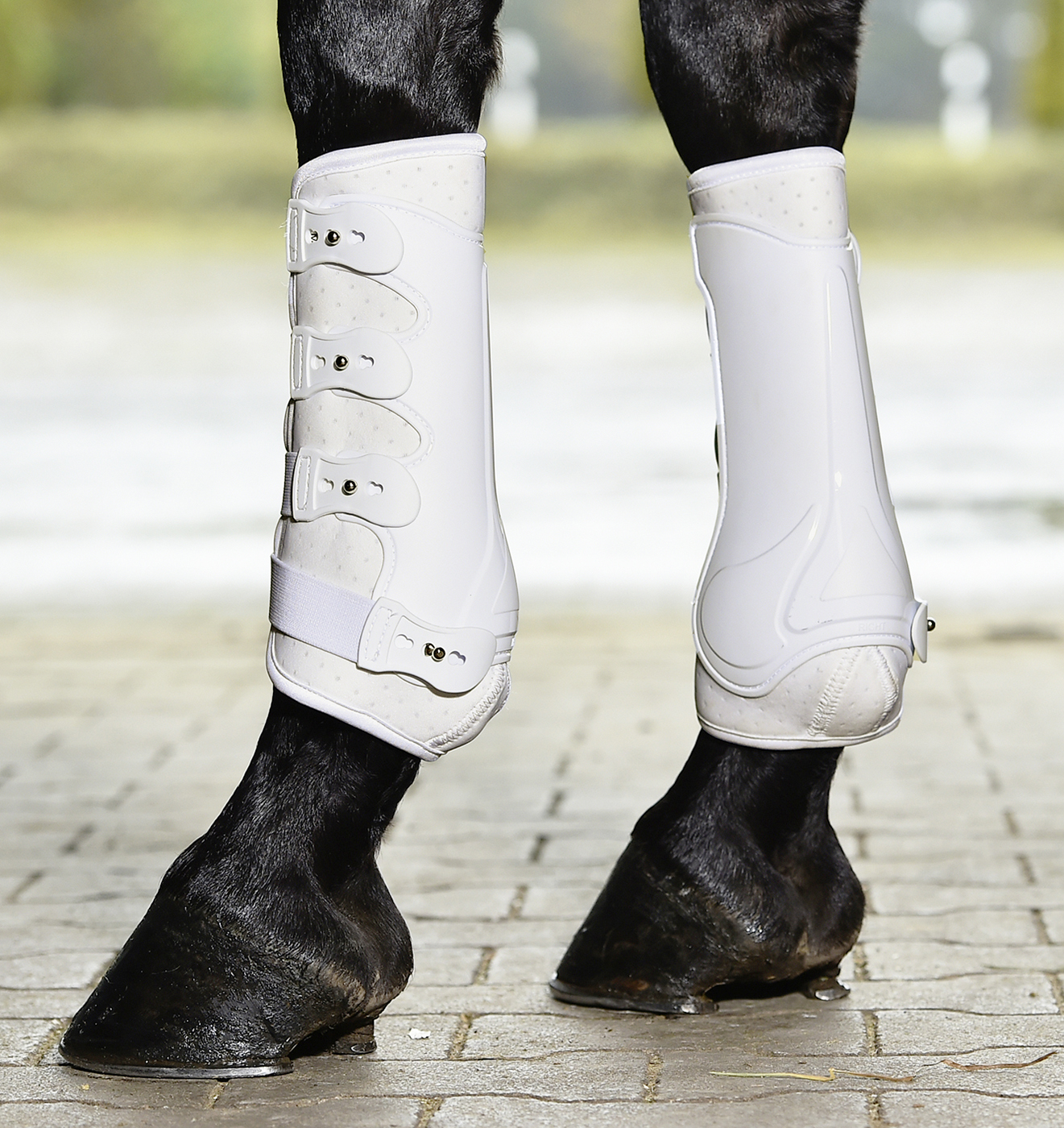 Busse Gamaschen DRESSAGEPRO Busse Gamaschen DRESSAGEPRO von Busse
