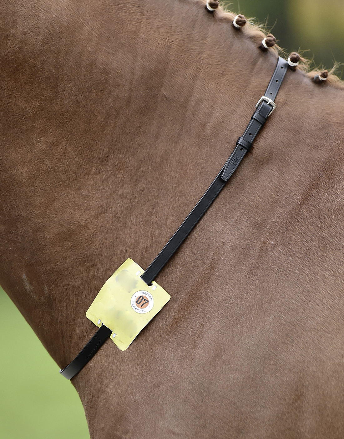 Busse Halsriemen REITKENNZEICHEN Busse Halsriemen REITKENNZEICHEN von Busse