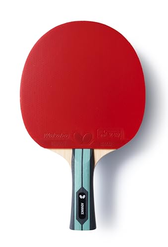 Tischtennisschläger Team Butterfly Advance | Profi-Tischtennisschläger für Fortgeschrittene | ITTF-Zulassung für Wettkämpfe, Konkav, Schwarz Tischtennisschläger Team Butterfly Advance | Profi-Tischtennisschläger für Fortgeschrittene | ITTF-Zulassung für Wettkämpfe, Konkav, Schwarz von Butterfly