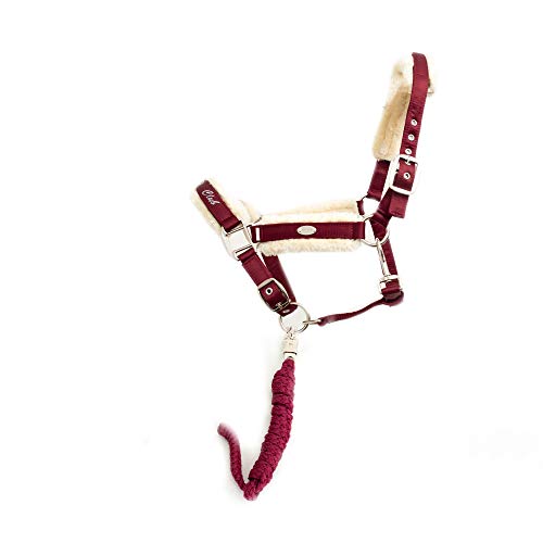 CALEVO - Set Stallhalfter Faux FUR + Strick HORSECLUB CALEVO - Set Stallhalfter Faux FUR + Strick HORSECLUB von CALEVO