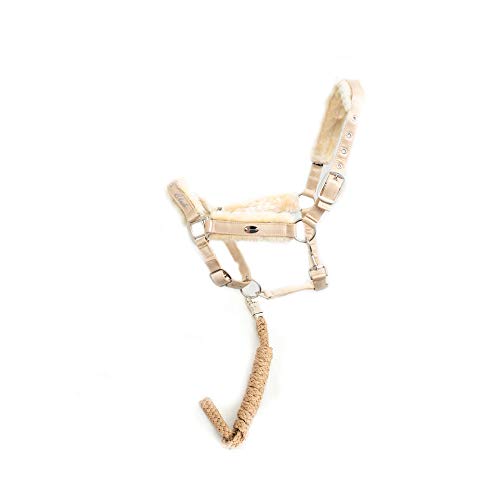 CALEVO - Set Stallhalfter Faux FUR + Strick HORSECLUB CALEVO - Set Stallhalfter Faux FUR + Strick HORSECLUB von CALEVO